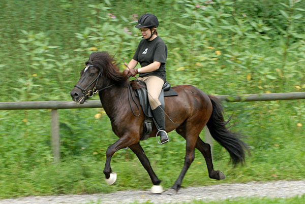 0807_Falki.jpg