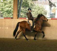 0810_Andikurs5.JPG 0810_Andikurs5.JPG