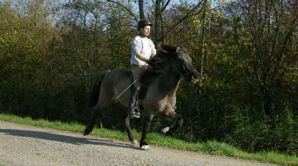 0810_Andikurs6.JPG 0810_Andikurs6.JPG