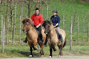 0904_Andikurs_001.jpg 0904_Andikurs_001.jpg