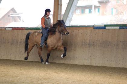 0904_Andikurs_010.jpg 0904_Andikurs_010.jpg