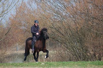 0904_Andikurs_06.jpg 0904_Andikurs_06.jpg