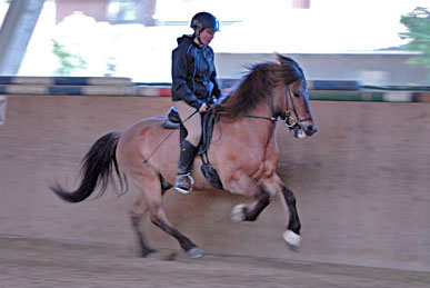 0906_Andi3.jpg 0906_Andi3.jpg