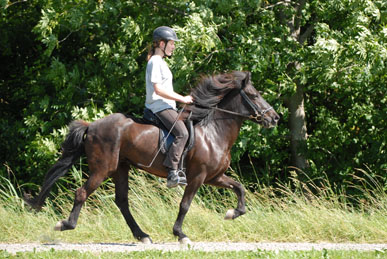 0906_Andi4.jpg 0906_Andi4.jpg