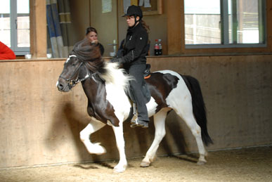 0906_Andi5.jpg 0906_Andi5.jpg