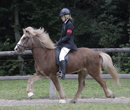 0909_TL_Zwerg1.JPG 0909_TL_Zwerg1.JPG