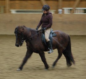 100320_Falki.jpg 100320_Falki.jpg
