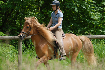 100605_Andikurs_9.jpg 100605_Andikurs_9.jpg