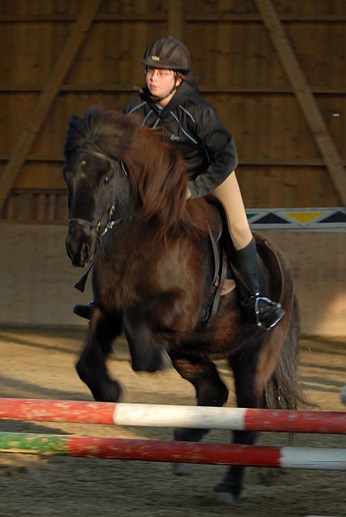 2008_Kursbericht_B2_19.jpg