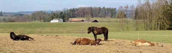 20120312_Fruehling.jpg