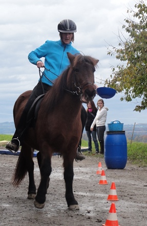 20121105_7.JPG 20121105_7.JPG