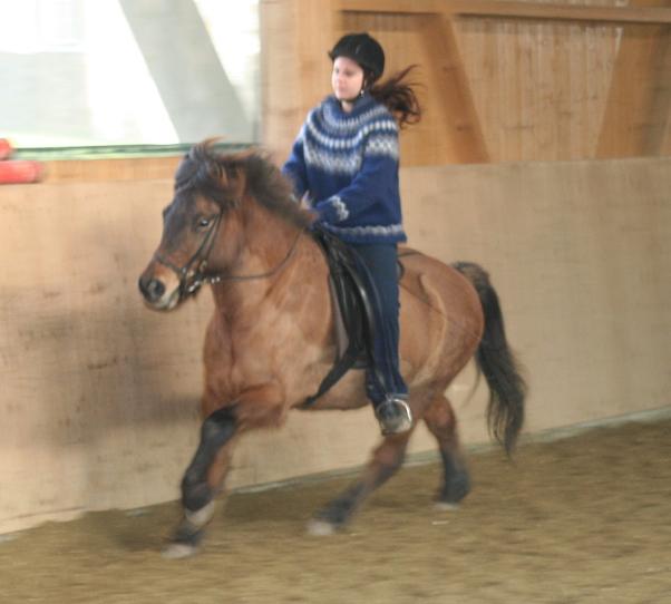 Brevet_Anita.JPG