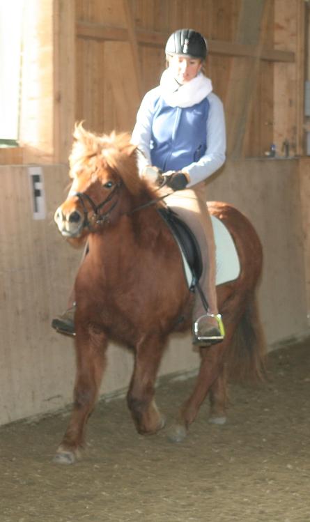 Brevet_Jenny.JPG
