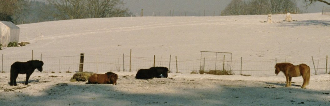 Schnee.jpg Schnee.jpg